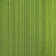 CS-283 D